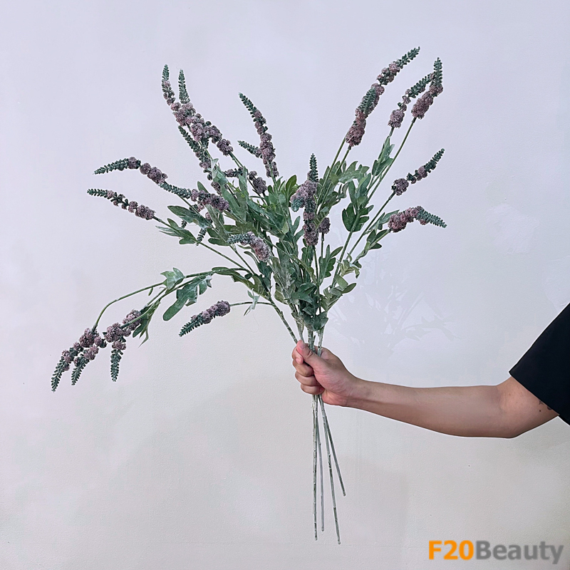 Sự thanh khiết của Lavender màu tím đậm