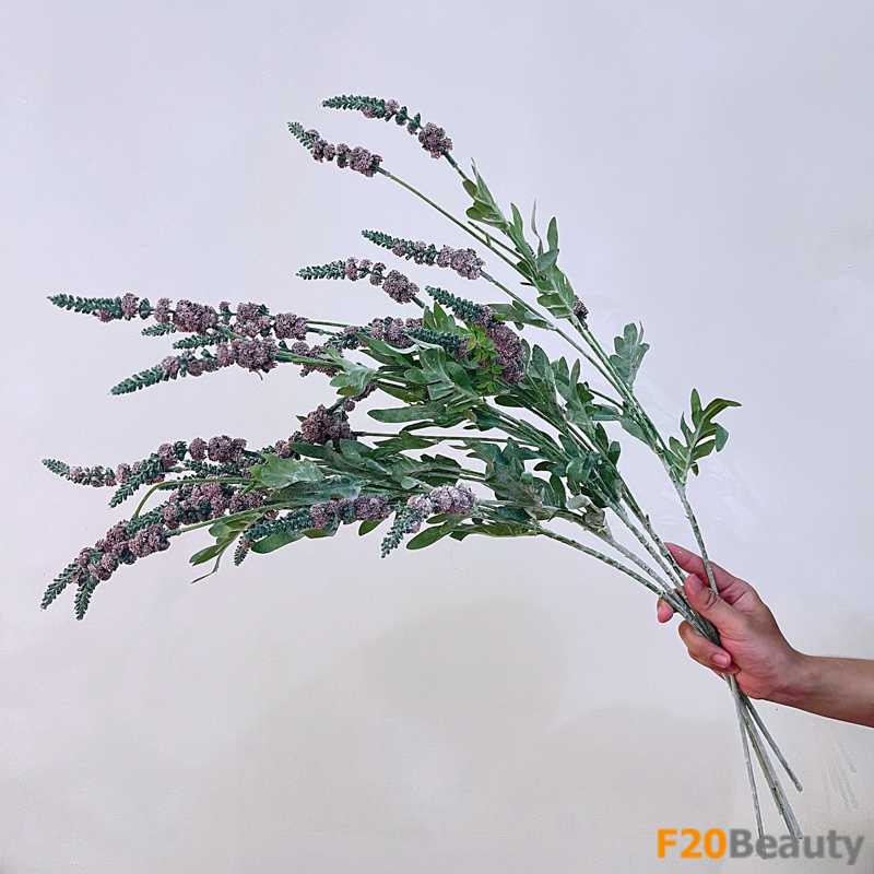 Hoa Lavender màu tím đậm