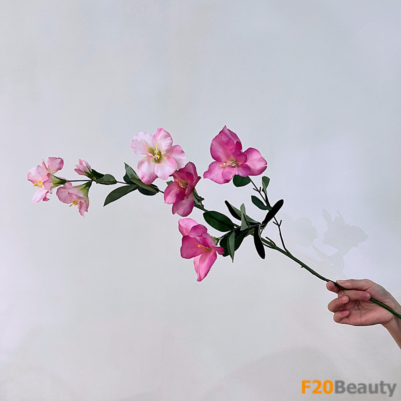 Hoa trúc đào màu hồng: Sự quyến rũ đầy tinh tế