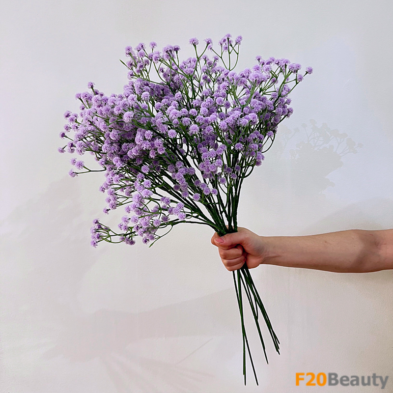 Hoa baby màu tím: Sự tươi mới trong thiên nhiên