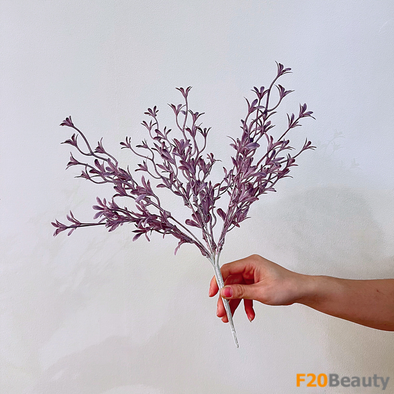 Sự lôi cuốn của màu tím: Hoa lan Moraka thần thái