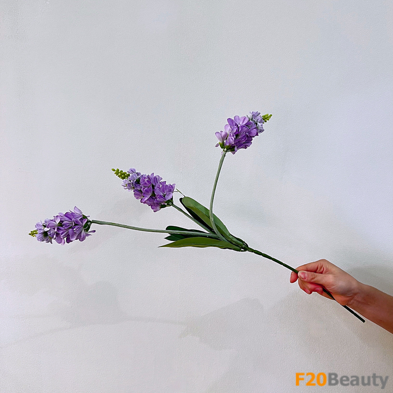 Hoa mõm sói Snapdragons màu tím - Tượng trưng cho sự may mắn