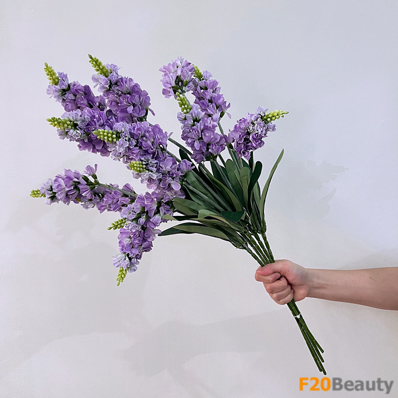 Hoa mõm sói Snapdragons màu tím