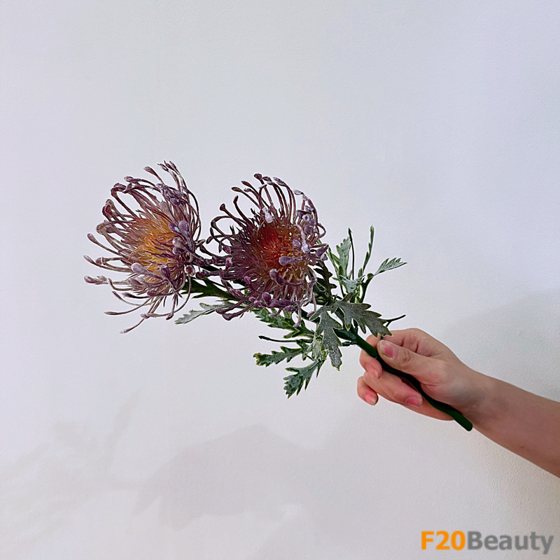 Hoa thảo đường màu tím: Sự tinh tế trong thiên nhiên