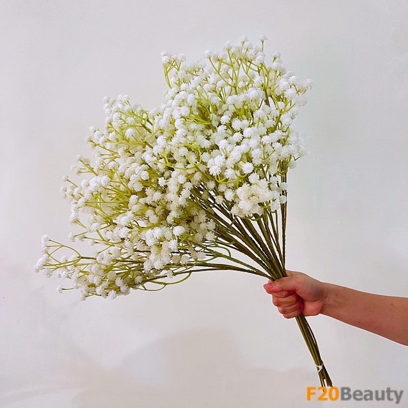 Hoa baby màu trắng