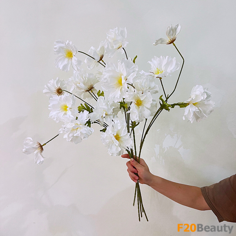 Nét đẹp tinh tế của hoa hải quỳ trắng