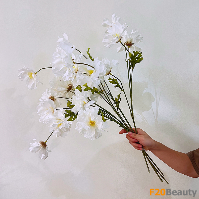 Sắc trắng thuần khiết của hoa hải quỳ