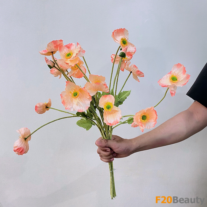 Hoa anh túc màu cam: Tượng trưng cho sự tinh tế