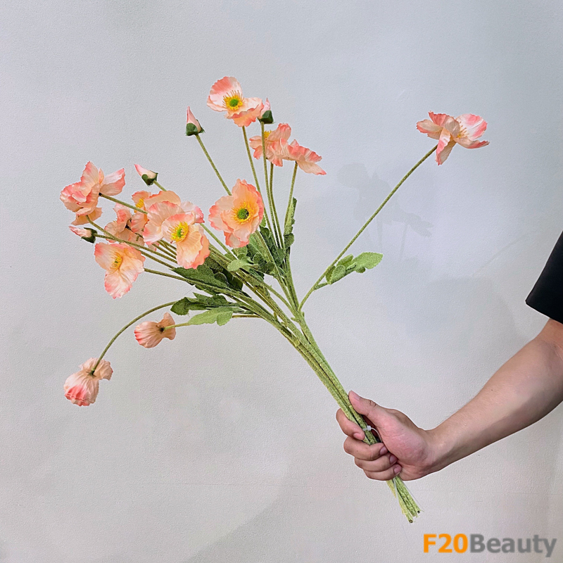 Hoa anh túc màu cam: Sắc đẹp đầy cuốn hút