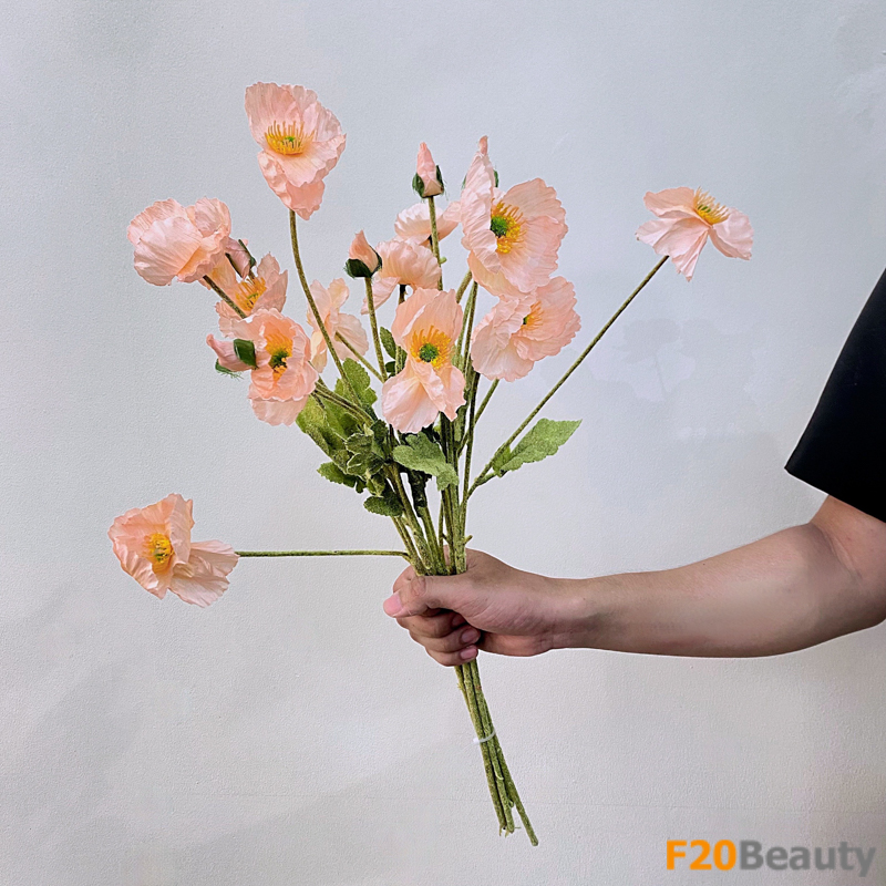 Tươi trẻ và sáng sủa: Hoa anh túc màu hồng cam quyến rũ