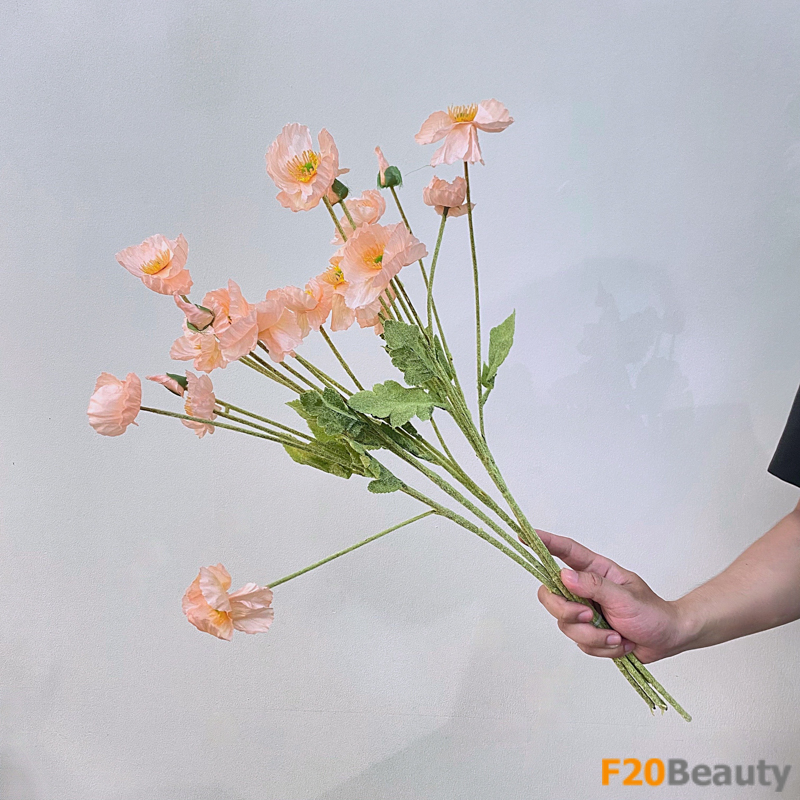 Hoa anh túc màu hồng cam