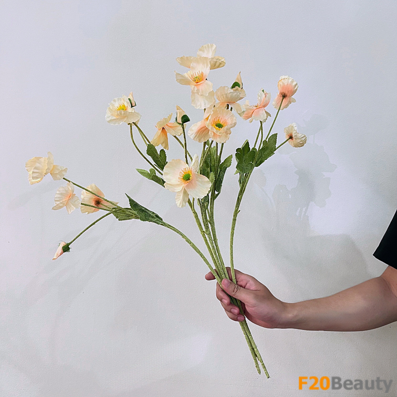 Vẻ đẹp tươi sáng: Hoa anh túc màu vàng quyến rũ