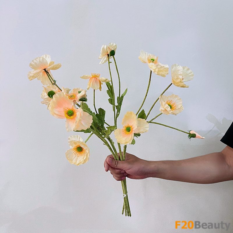 Hoa anh túc vàng - Biểu tượng của sự lạc quan