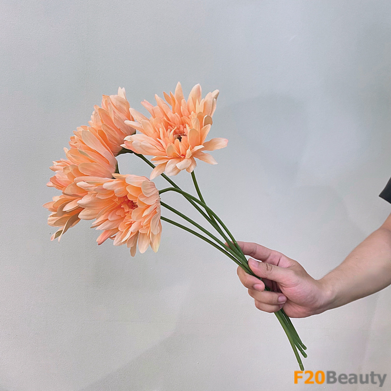 Sự quý phái của hoa cúc nữ hoàng màu cam