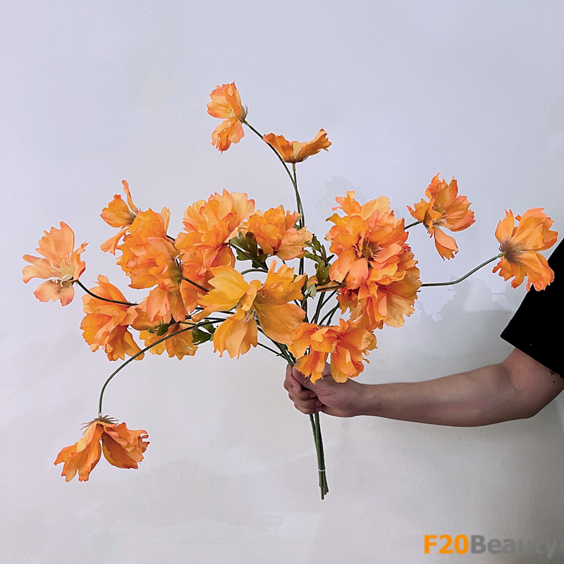 Màu cam cuốn hút: Hoa hải quỳ nổi bật