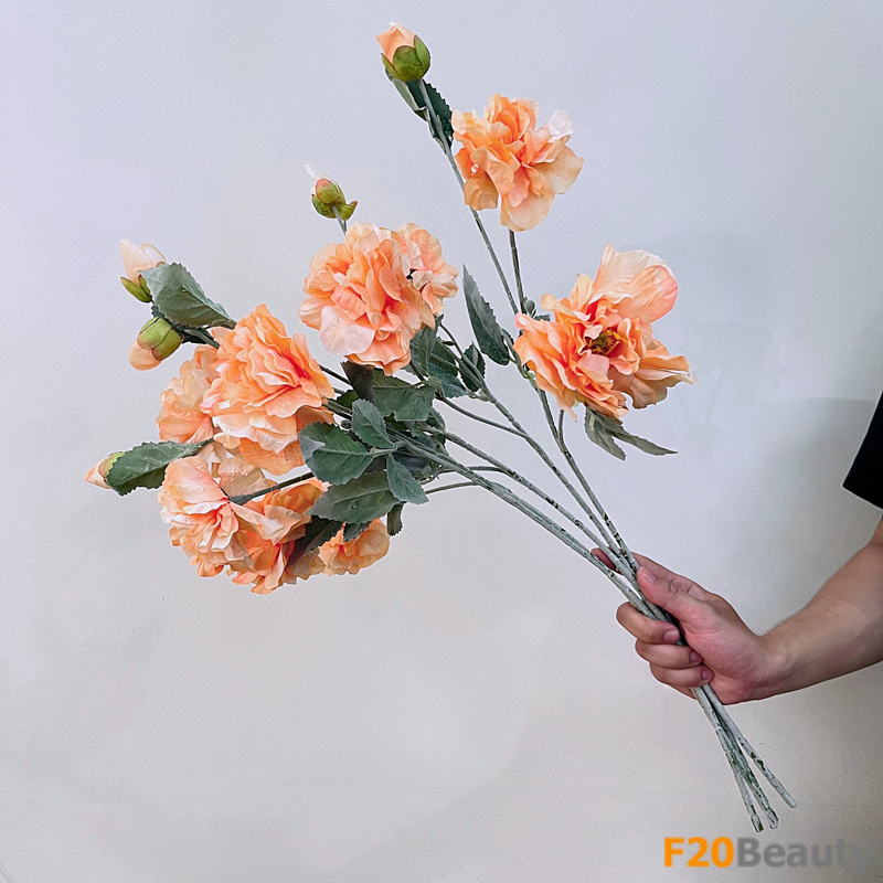 Màu cam tươi sáng: Hoa mẫu đơn 2 bông 1 nụ nổi bật