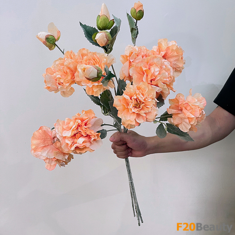 Sự năng động của màu cam: Hoa mẫu đơn sáng tạo