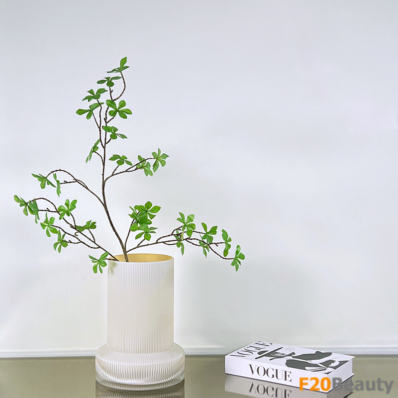 Bình thủy tinh trụ tròn Cachet kết hợp lá thạch nam trang trí không gian