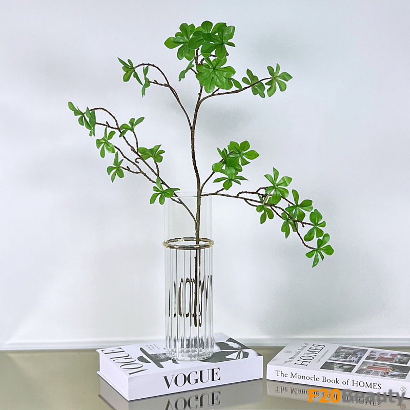Lọ thủy tinh trong suốt Majori cắm cành thạch nam trang trí phong cách hiện đại