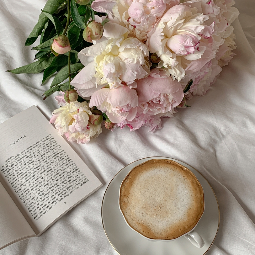 Hoa Paeonia món quà tặng ý nghĩa