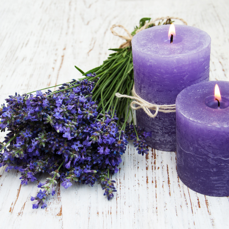 Hoa Lavender - Biểu tượng của sự thanh khiết