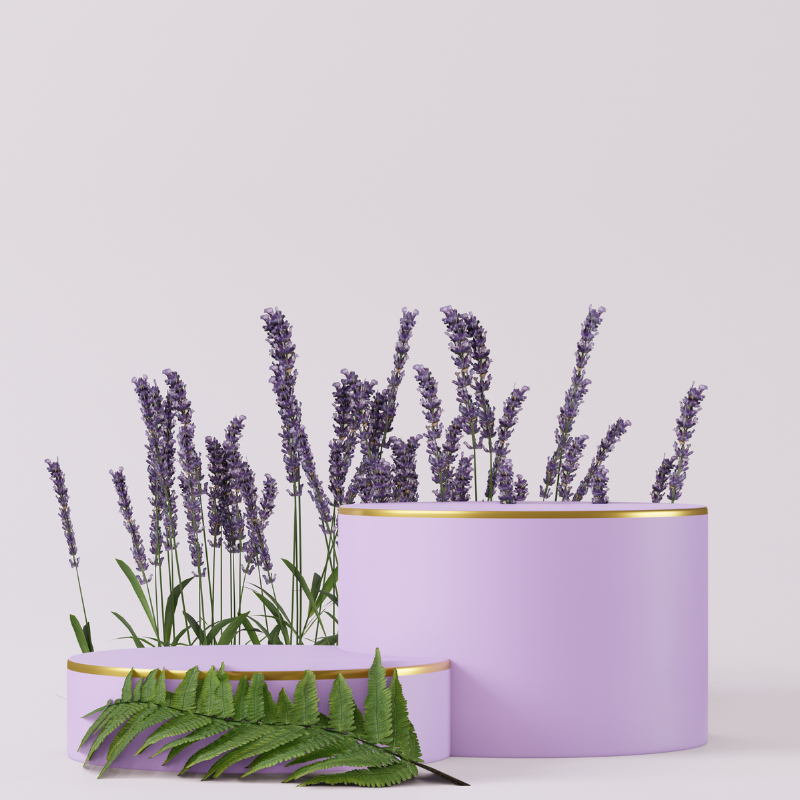 Hoa Lavender - Nét đẹp nhẹ nhàng đầy tinh tế