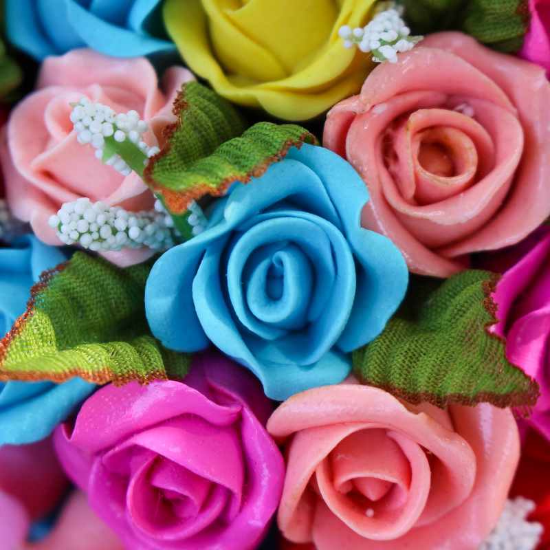 Hoa hồng tỉ muội Miniature đã chinh phục trái tim của rất nhiều người yêu hoa.