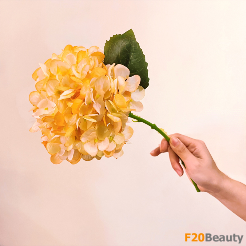 Hoa cẩm tú cầu Strigosa giả màu vàng