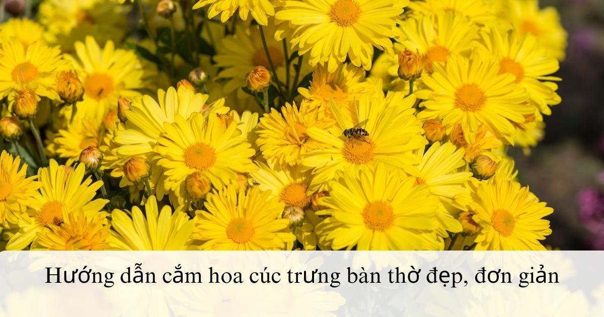 Hướng dẫn cắm hoa cúc trưng bàn thờ đẹp, đơn giản