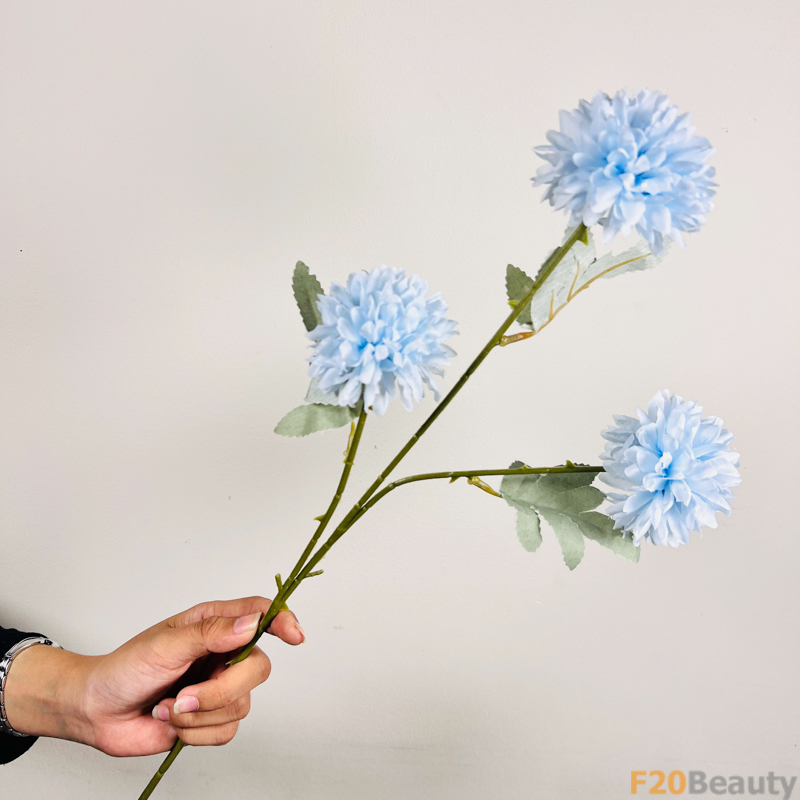 Hoa thược 3 bông màu xanh nhạt - Đại diện cho nét đẹp sang trọng