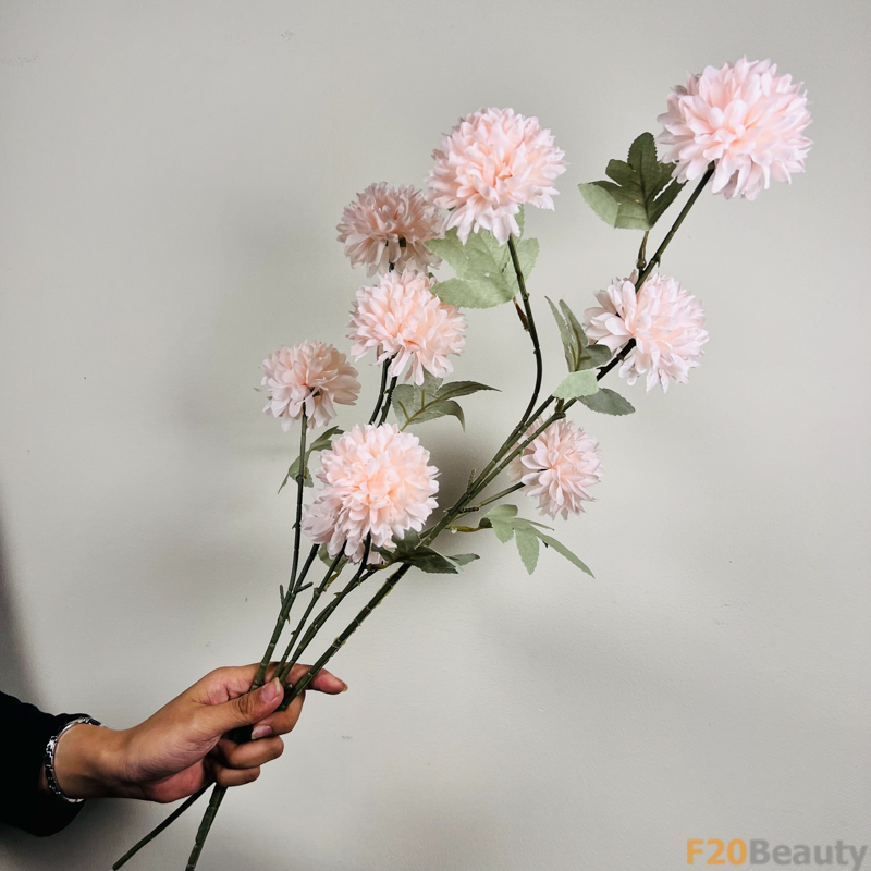 Hoa thược 3 bông màu hòng nhạt