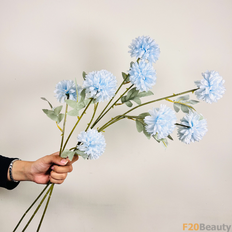 Hoa thược 3 bông màu xanh nhạt