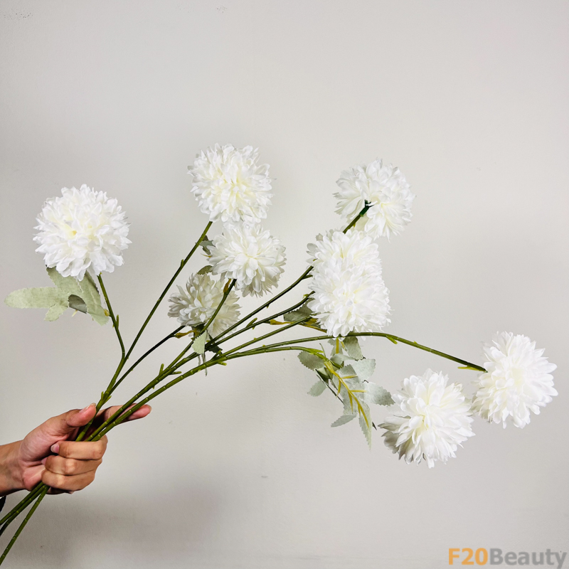 Hoa thược 3 bông màu trắng - Vẻ đẹp thơ mộng