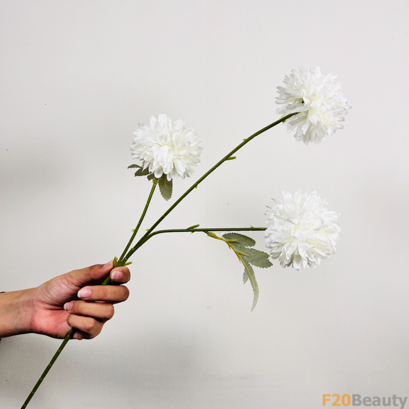 Hoa thược 3 bông màu trắng