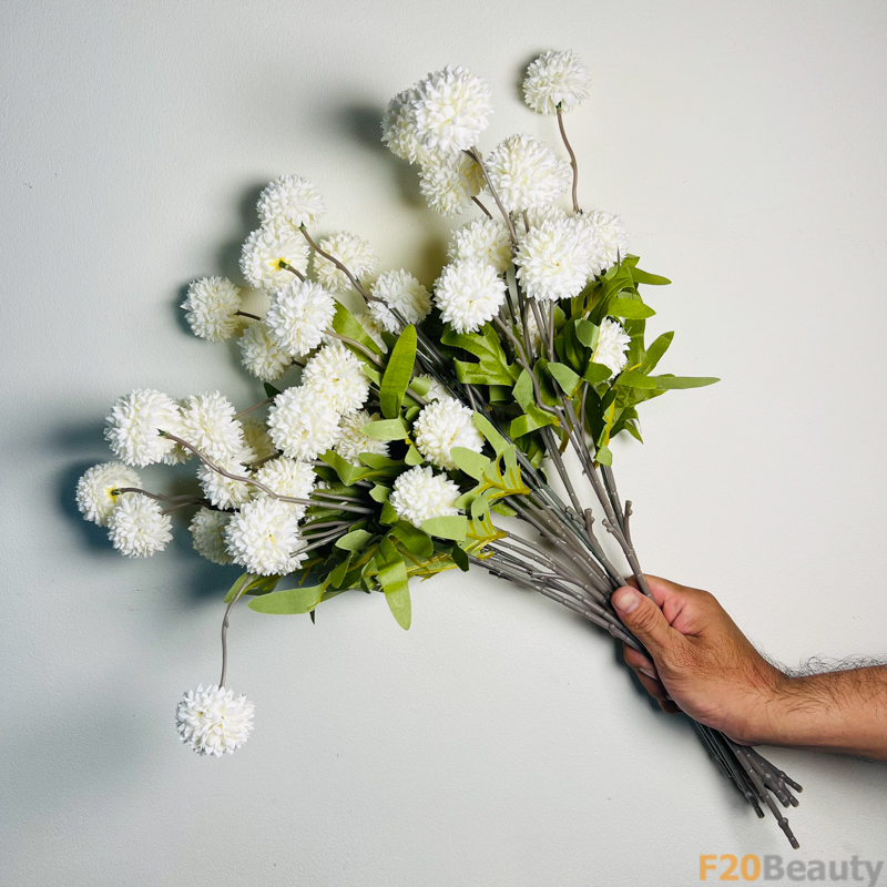 Hoa thược dược 5 bông màu trắng