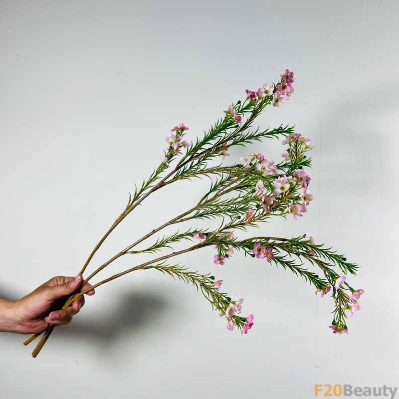 Thanh Liễu tím: Sắc Tinh Tế, Sự Dịu Dàng của Thiên Nhiên