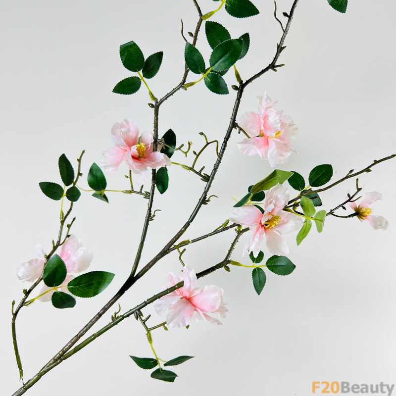 Hoa trà Camellia màu hồng nhạt: Sự thanh khiết nở rộ trong thiên nhiên