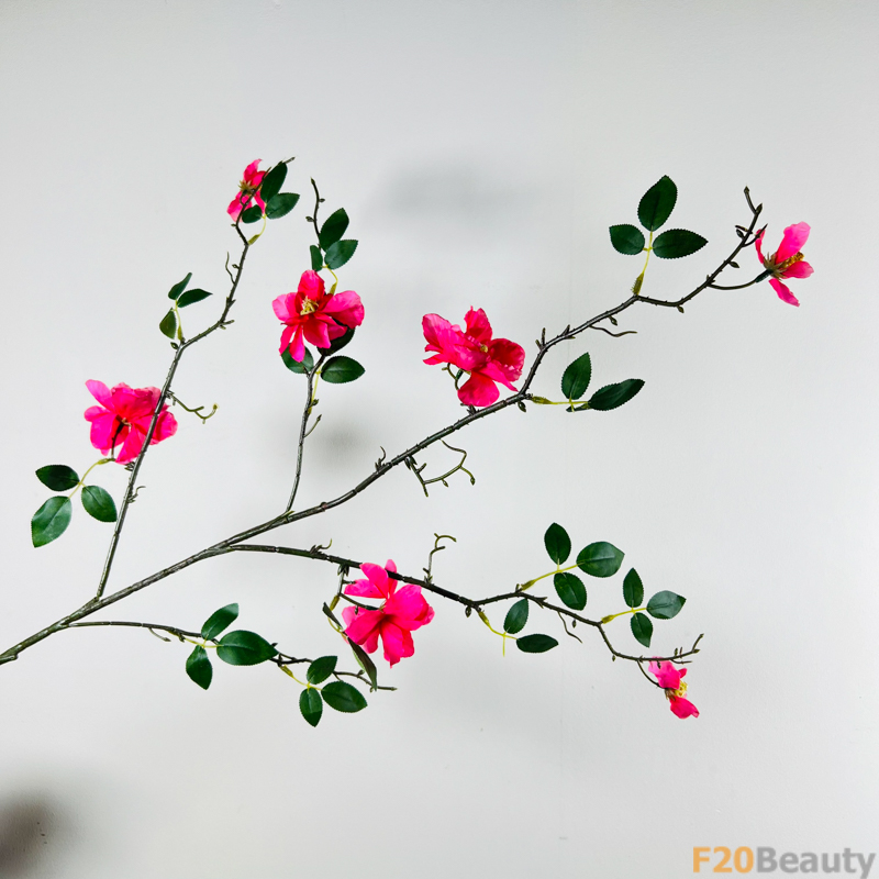 Tận hưởng vẻ đẹp thời gian: Hoa Camellia màu hồng Magenta trong ảnh nghệ thuật