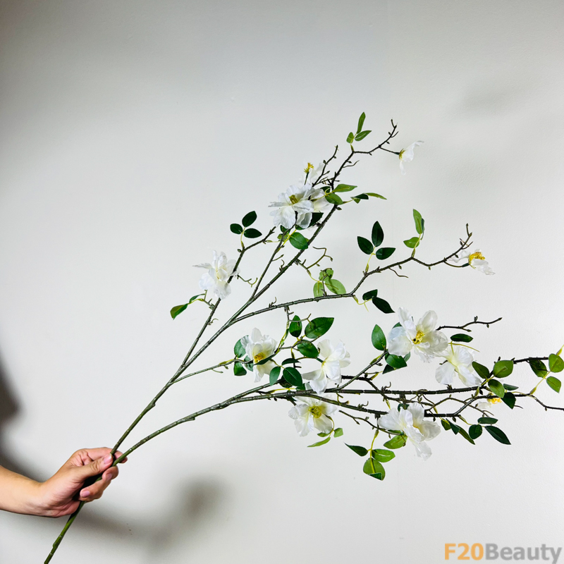 Hòa mình vào vẻ đẹp tự nhiên: Hoa trà Camellia màu trắng