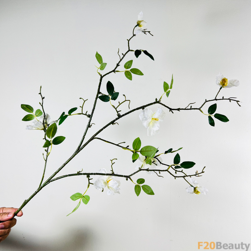 Nét quyến rũ mê hoặc: Hoa trà Camellia trắng tinh tế