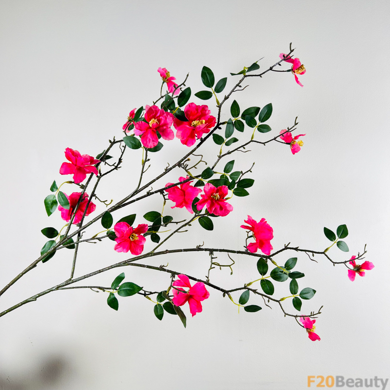 Sắc đẹp tự nhiên: Hoa trà Camellia màu hồng Magenta trong bức tranh thiên nhiên