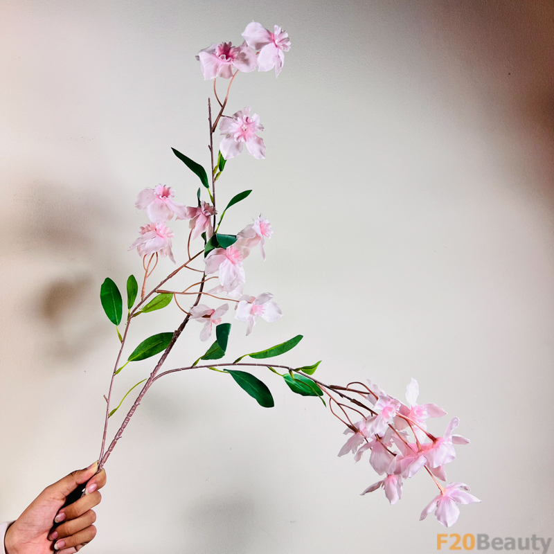 Sự dịu dàng của tử đinh hương: Màu hồng nhạt nở rộ trong thiên nhiên