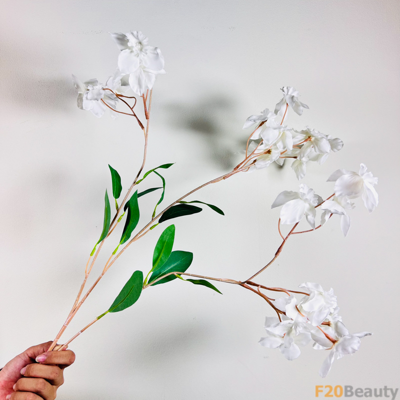 Sắc Trắng Tinh Khôi: Tử Đinh Hương Vương Vấn Mơ Mộng