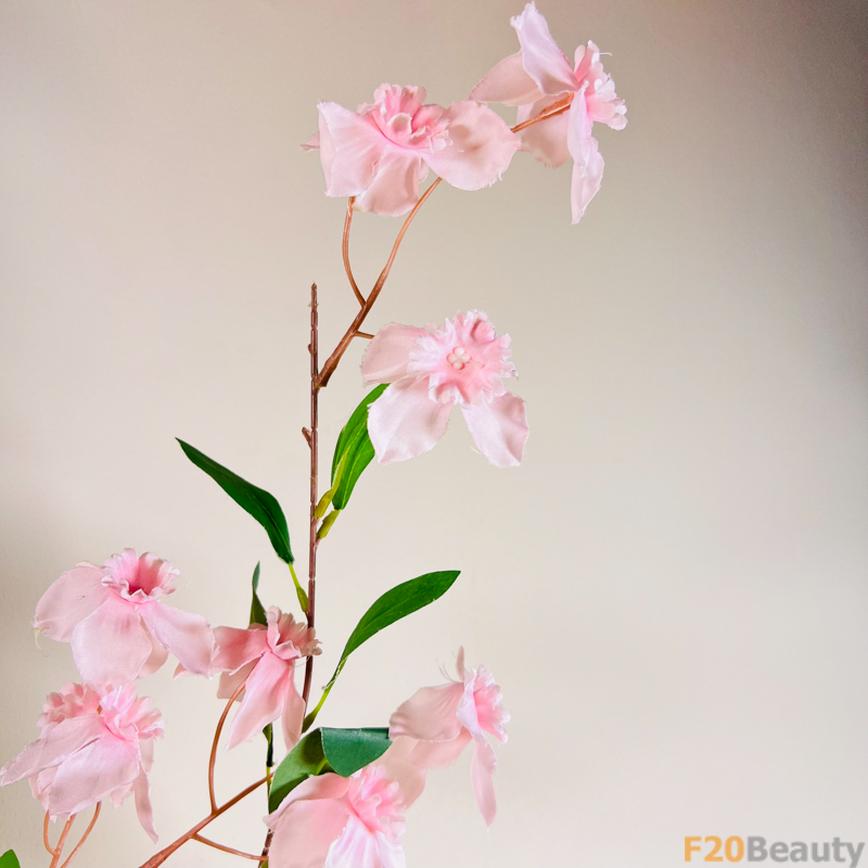 Tự đinh hương - Biểu tượng của sự tinh tế và quyến rũ trong màu hồng nhạt