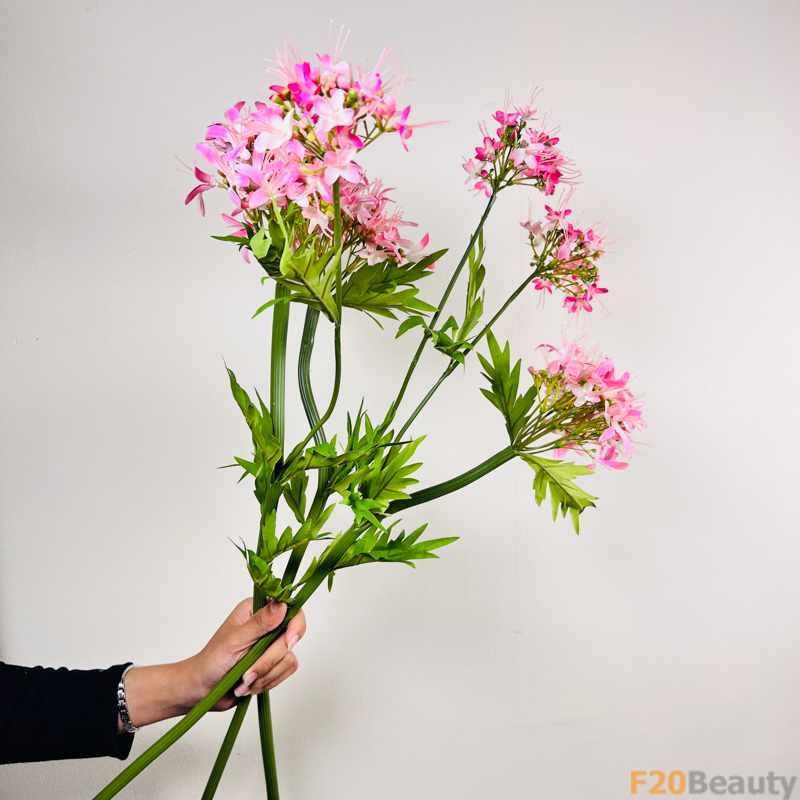 Sắc Hồng Mềm Mại: Hoa Cẩm Tú Cầu Nhánh 2 Bông