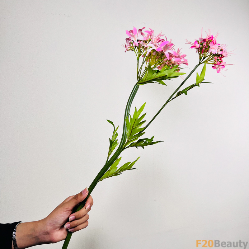 Hoa cẩm tú cầu nhánh 2 bông màu hồng nhạt