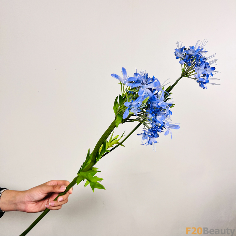 Bức Tranh Thiên Nhiên: Cẩm Tú Cầu Nhánh 2 Bông Xanh