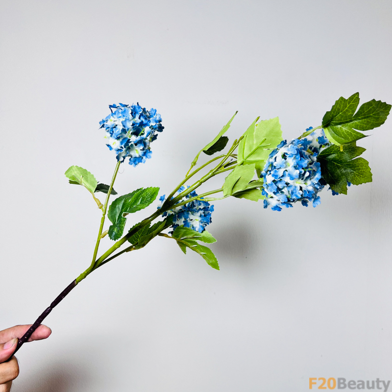 Hoa cẩm tú cầu - Biểu tượng của tình yêu lãng mạn