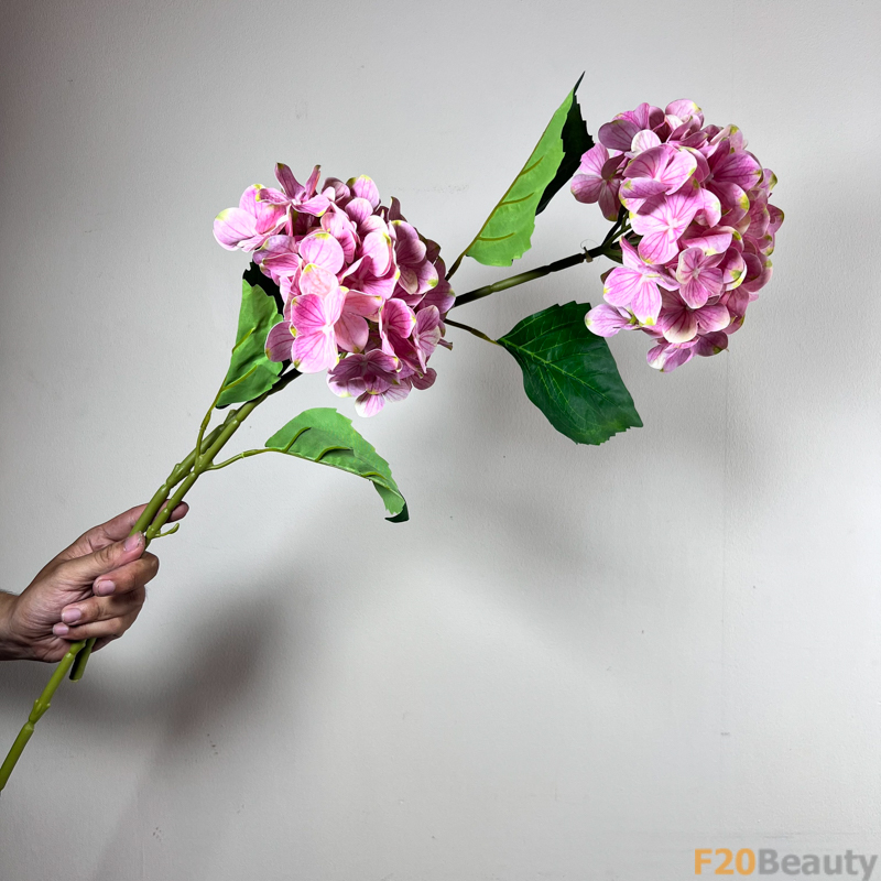 Hoa Tú Cầu Macrophylla: Màu Tím Lãng Mạn và Quyến Rũ