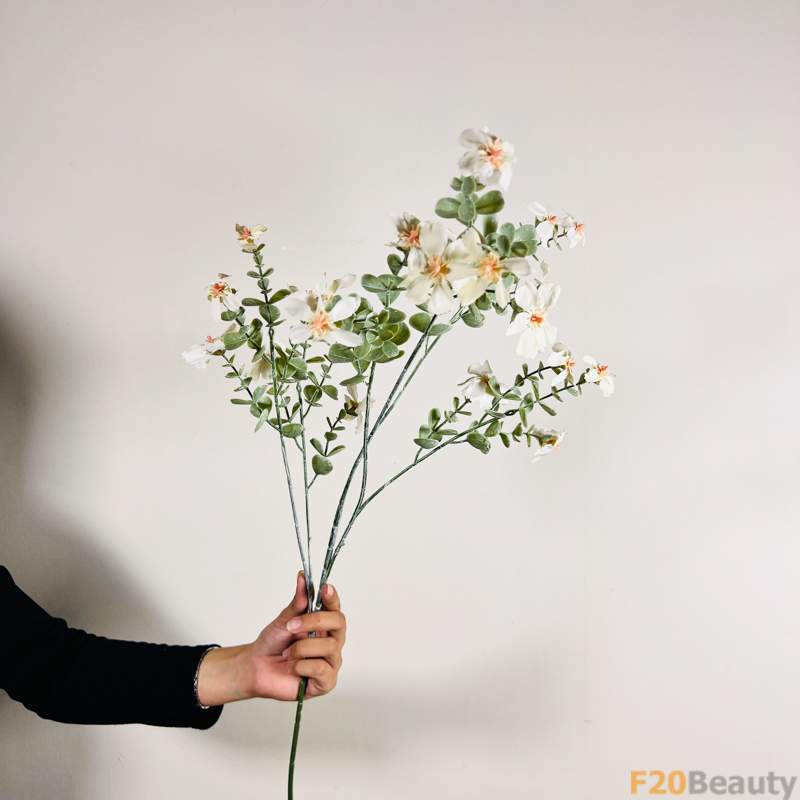 Vẻ Đẹp Tự Nhiên: Hoa Mộc Qua Chaenomeles Trắng